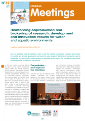 Meetings32_RDI_cover