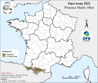  OursBrun_04_map_presence_maille2020.png