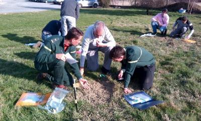 OursBrun_09_Formation-reseau_OFB